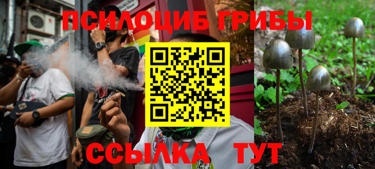 Тавда  Псилоцибиновые грибы ЛСД  Вход с VPN 