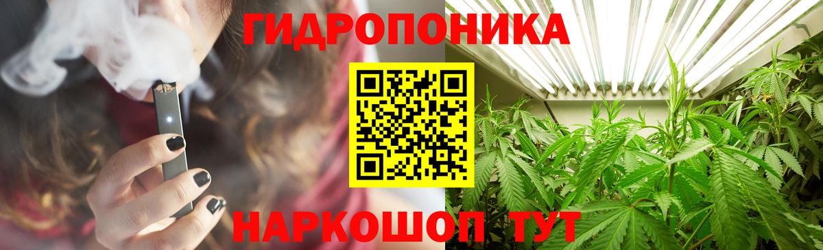 Бошки Шишки MAZAR Тавда